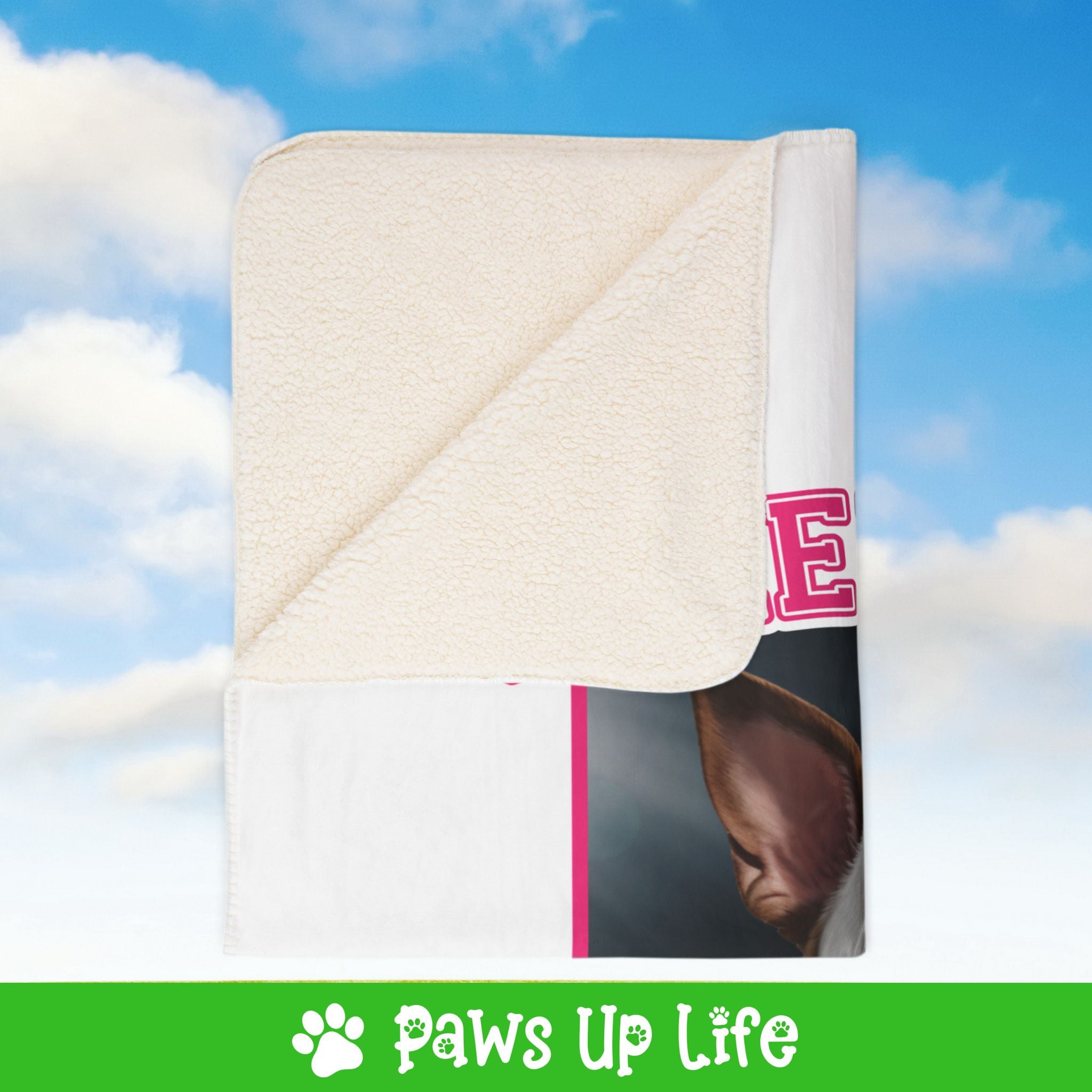 Bull Terrier Football Cheer Buddy Cheerleading Dog Fleece Sherpa Blanket - Perfect for Snuggling and Cozy Napping | Paws Up Life, LLC