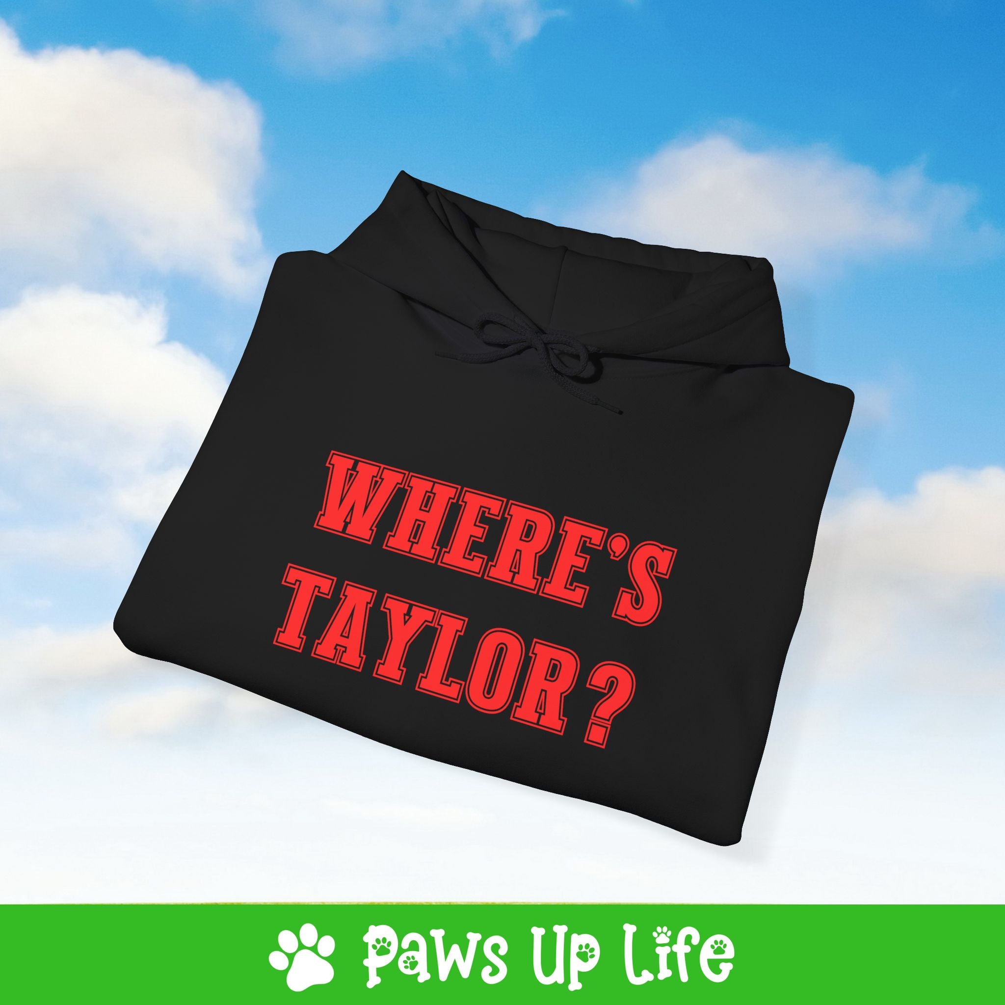 Where's Taylor Football Unisex Hoodie Hooded Sweatshirt Classic Cotton | Paws Up Life, LLC